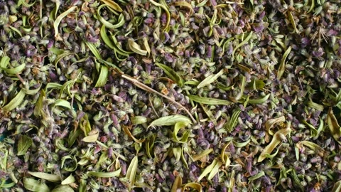 Dried thyme herb with aromatic flowers rotating Stock Footage 337830749
