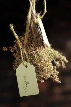 Dried thyme herb hangs in kitchen Stock Photos