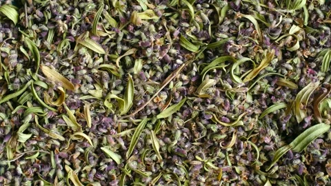 Dried thyme herb rotating as a background Stock Footage 337830748