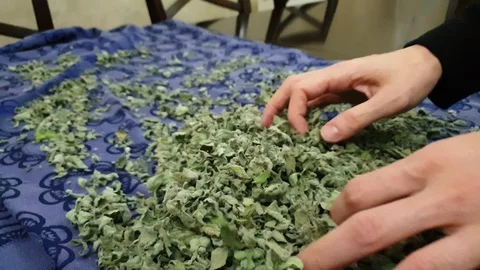 Dried thyme in preparation of making Za'atar Stock Footage 98959506