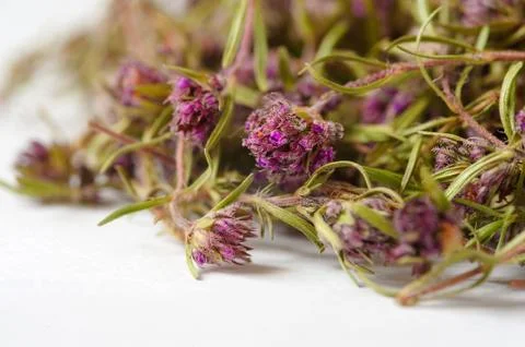Dried thyme tea on a white background Stock Photos