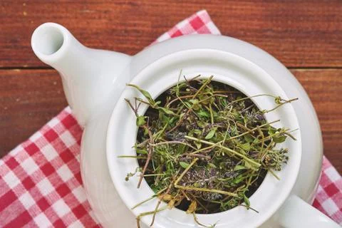 Dried thyme in teapot Stock Photos
