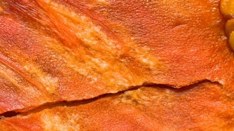 Dried tomato camera roll Macro shot Stock Footage 83872761