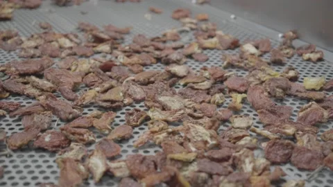Dried tomato production line. Stock Footage 134939692