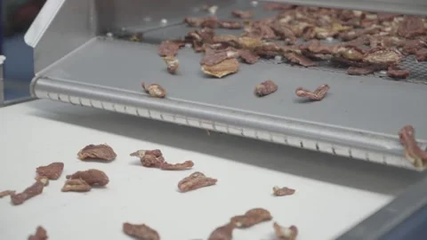 Dried tomato production line. Stock Footage 134940700