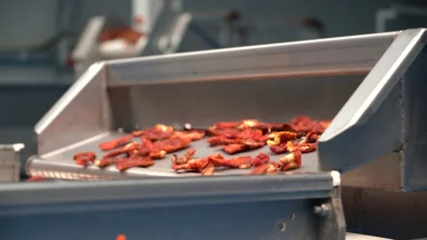 Dried tomato production line. Stock Footage 134940780