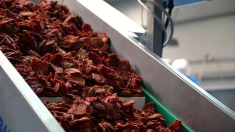 Dried tomato production line. Stock Footage 134940933