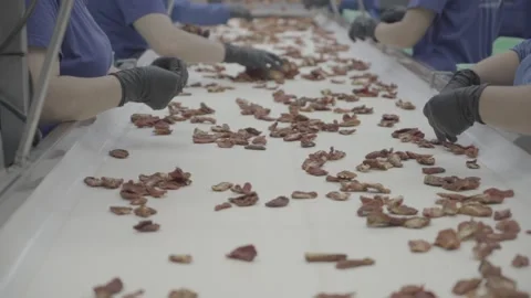 Dried tomato production line. Stock Footage 134941198