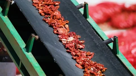 Dried Tomatoes are Separated and Cleaned11 Stock Footage 294079907