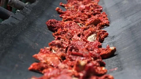 Dried Tomatoes are Separated and Cleaned3 Stock Footage 294080256