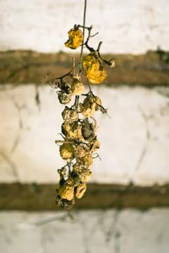 Dried tomatoes Stock Photos