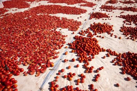 Dried tomatoes Stock Photos