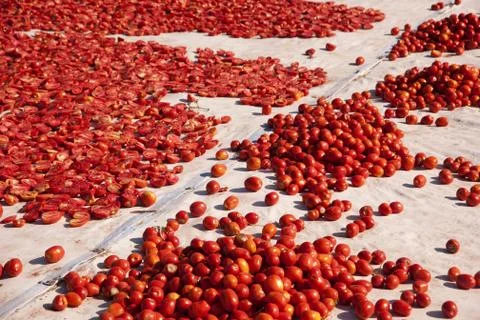 Dried tomatoes Stock Photos