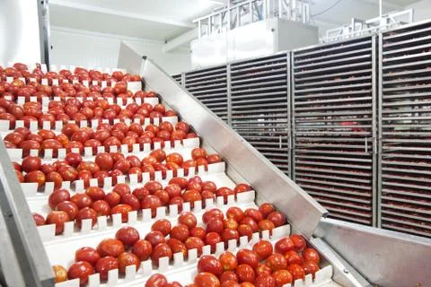 Dried tomatoes Stock Photos