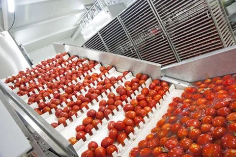 Dried tomatoes Stock Photos