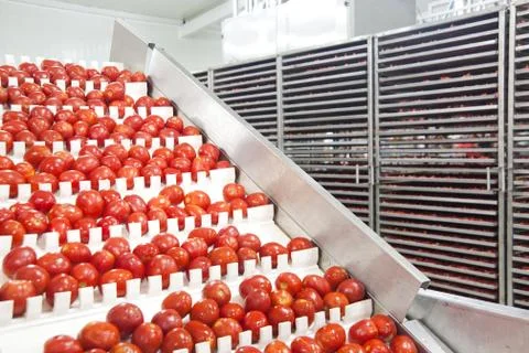 Dried tomatoes Stock Photos