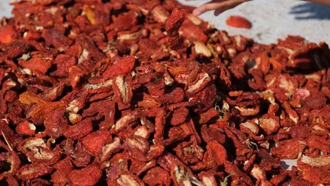Dried tomatoes1 Stock Footage 294079897