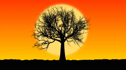 A dried tree on the background of the sun. Sunset and wind Stock Footage 103392748