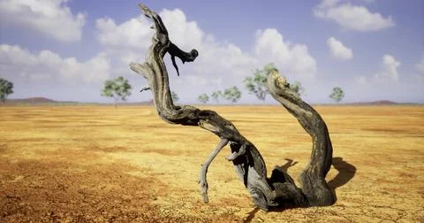 Dried tree branch in arid landscape under blue sky with clouds 스톡 일러스트