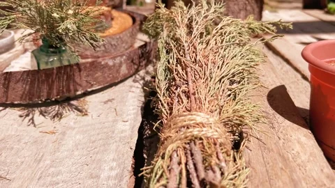 Dried tree branches and stumps on a wooden table Stock Footage 303740710