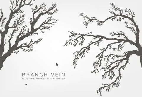 Dried tree branches with birds and leaves on a light background Stock Illustration