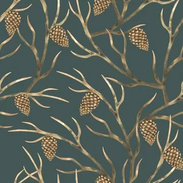 Dried tree branches with pine cones. Brown intertwined branches. Stock Illustration