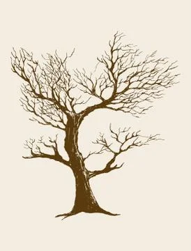 Dried Tree Stock Illustration
