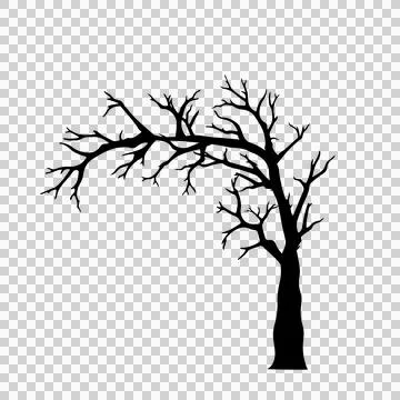 Dried tree on isolate white background Stock Illustration
