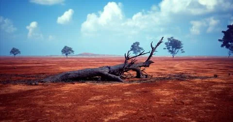 Dried tree trunk on cracked earth under a blue sky with clouds 스톡 일러스트