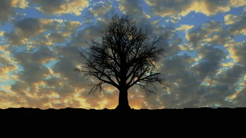 Dried tree in the wind and clouds. 3d rendering Stock Footage 103392327