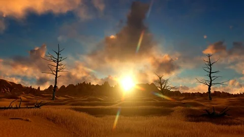 Dried trees on african landscape Stock Footage 105285452