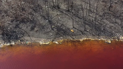 Dried trees on coastal area of red mining site lake 4K drone video Stock Footage 110624142