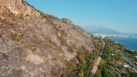 Dried trees that turned to ash the day after the forest fire. Video stock 203968948