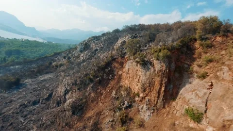 Dried trees that turned to ash the day after the forest fire. Video stock 203969379
