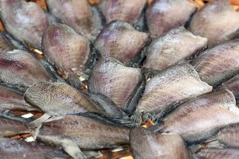 Dried trichogaster fish Stock Photos