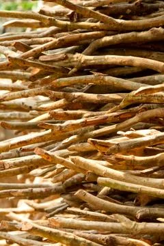 Dried twigs Stock Photos