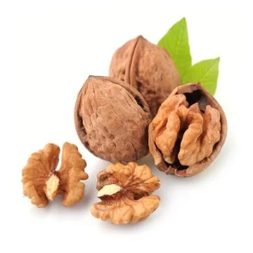 Dried walnut closeup Foto stock