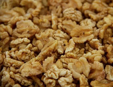 Dried walnut fruit in the stock Stock Photos