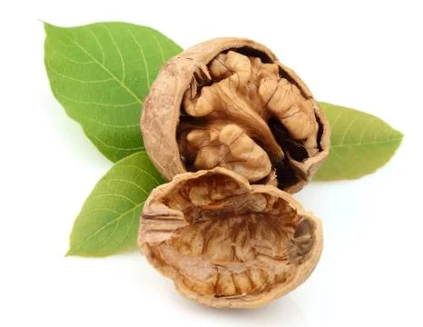 Dried walnut Foto stock
