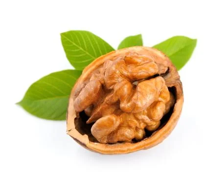 Dried walnut Foto stock