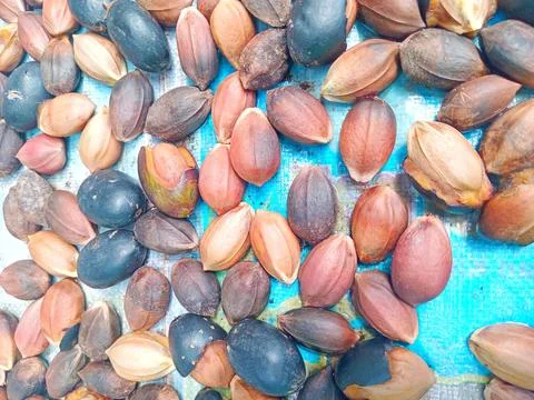 Dried walnuts to make them easier to crack Stock Photos