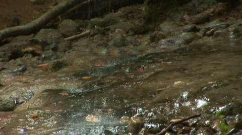 Dried waterfall ''Silver jet'' Stock Footage 526655