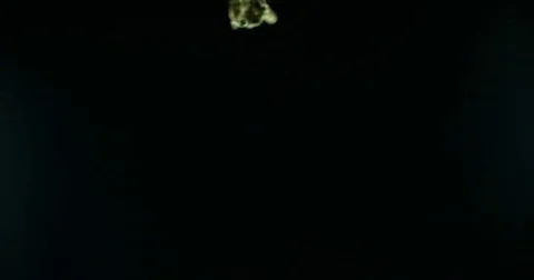 Dried weed buds falling against black background in slow motion 스톡 동영상 71213478