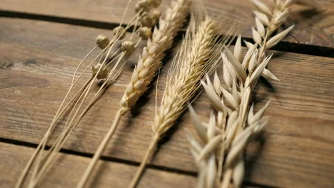 Dried wheat, oats, rye, triticale, linen, flax,  on the background of an wood Video stock 143242603