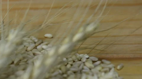 Dried wheat on an old wooden table and table top background. Stock Footage 151925852
