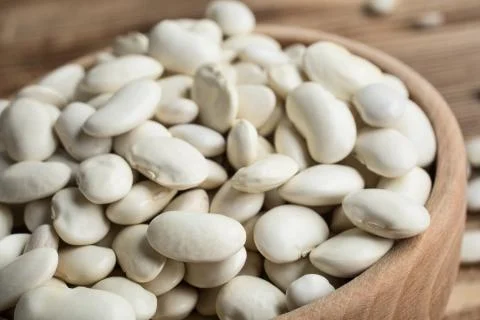 Dried white bean. Stock Photos
