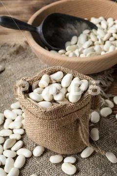 Dried white bean. Stock Photos