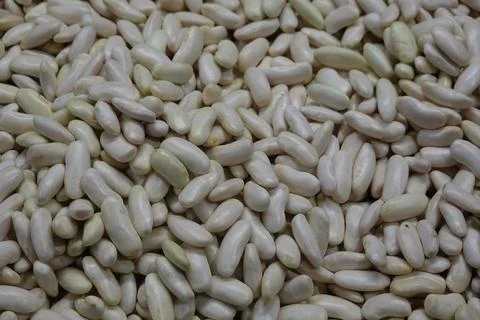 Dried white beans creating a textured background Fotos Stock