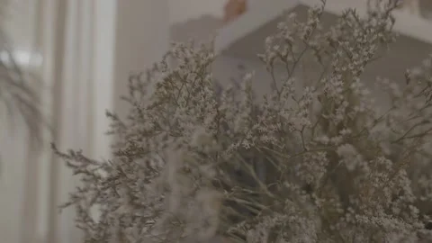 Dried white flowers in store, decorative vase and bouquet Stock Footage 201469605