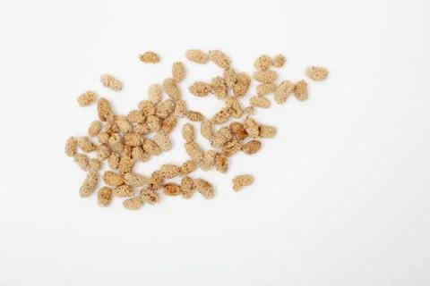 Dried white mulberries, Pattern of nuts form Stock Photos